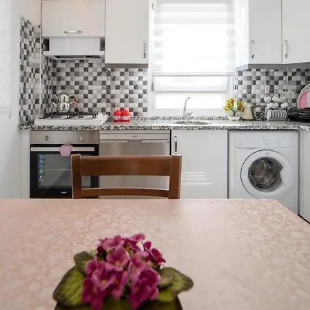 Fully Furnished Flat With Garden In Apartment